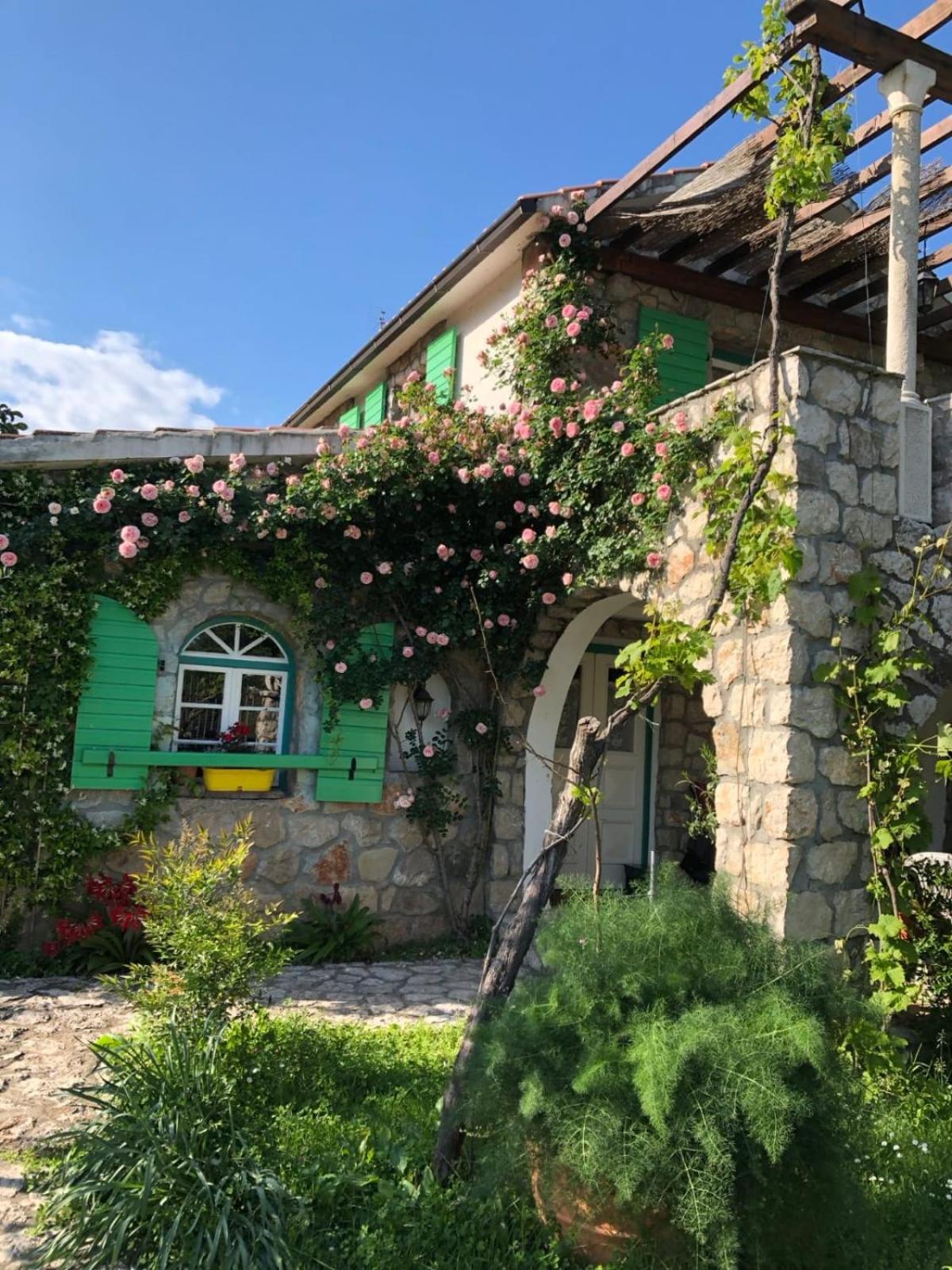 Lake House Puro Dodosi المظهر الخارجي الصورة