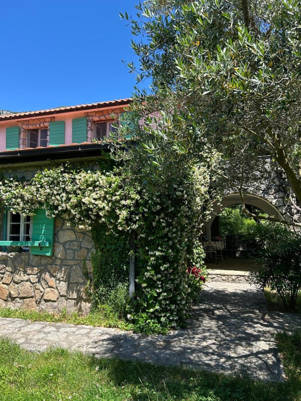 Lake House Puro Dodosi المظهر الخارجي الصورة