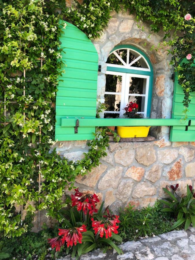 Lake House Puro Dodosi المظهر الخارجي الصورة