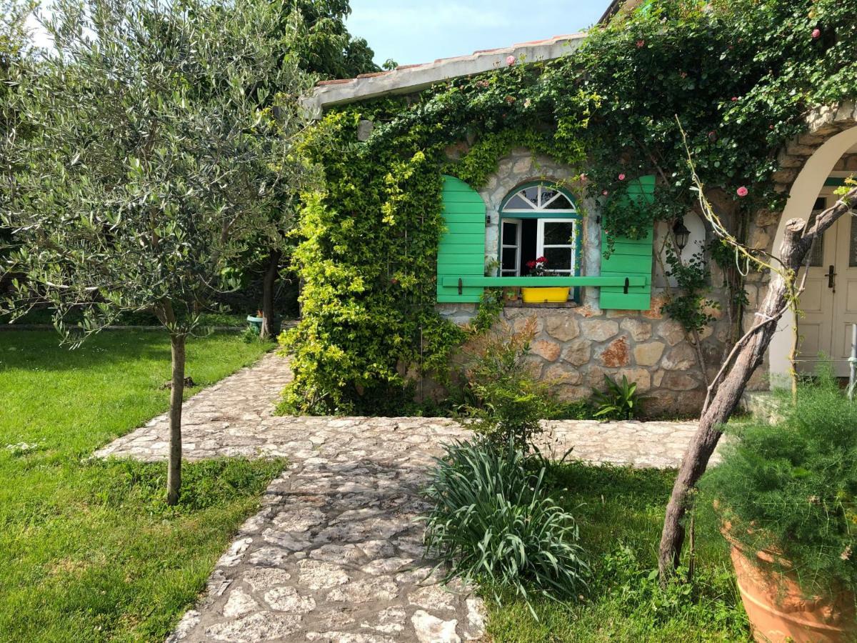 Lake House Puro Dodosi المظهر الخارجي الصورة